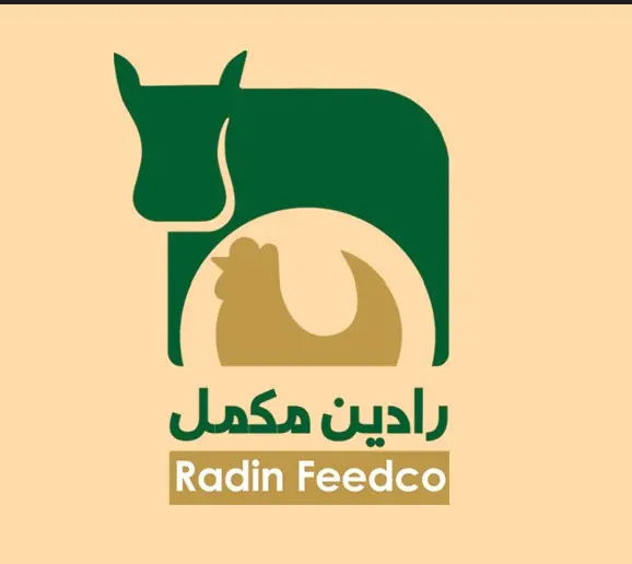 رادین تجارت راشا 